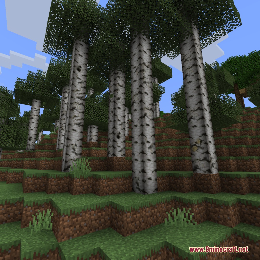 Tall birch trees with realistic bark patterns on a grassy hill