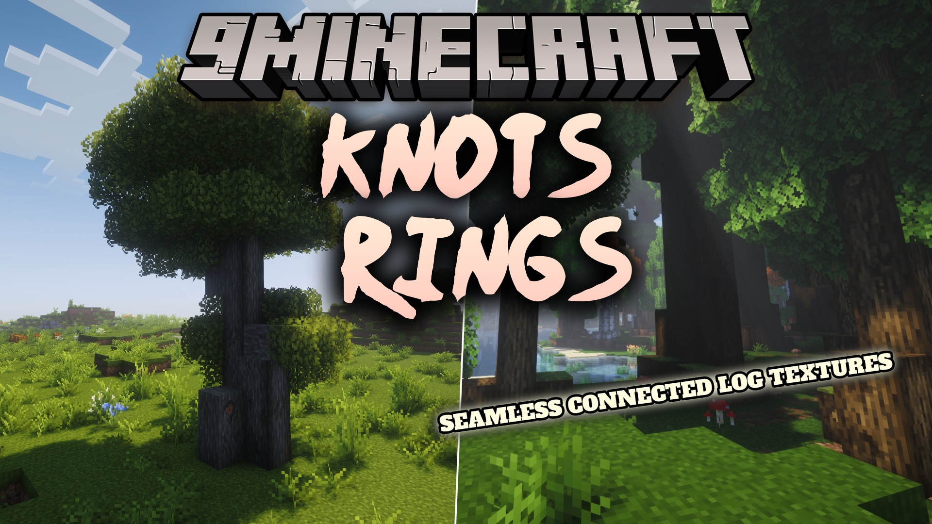 Knots & Rings Mod