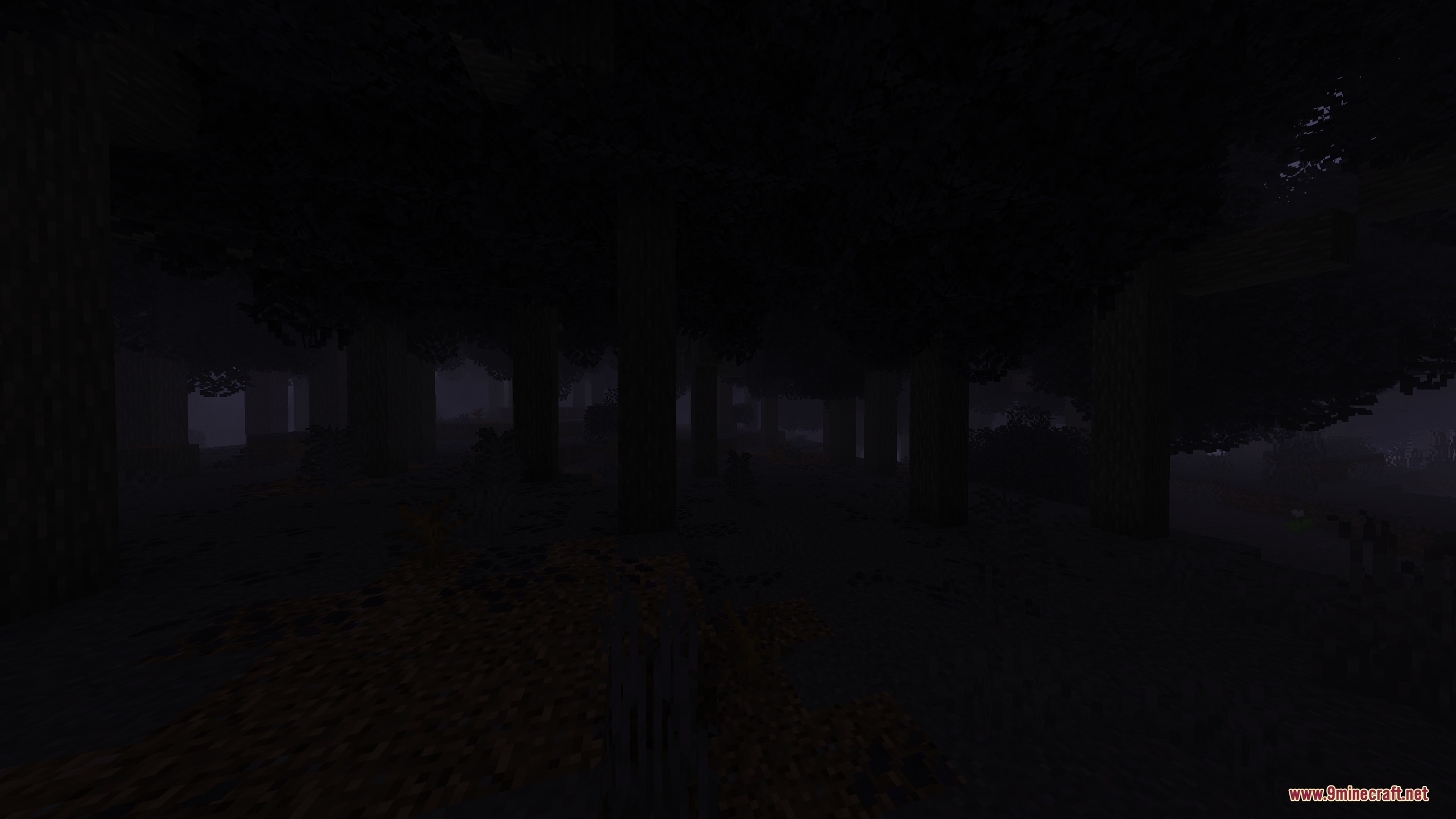 A dark and eerie forest filled with tall trees in the Wraithwood biome