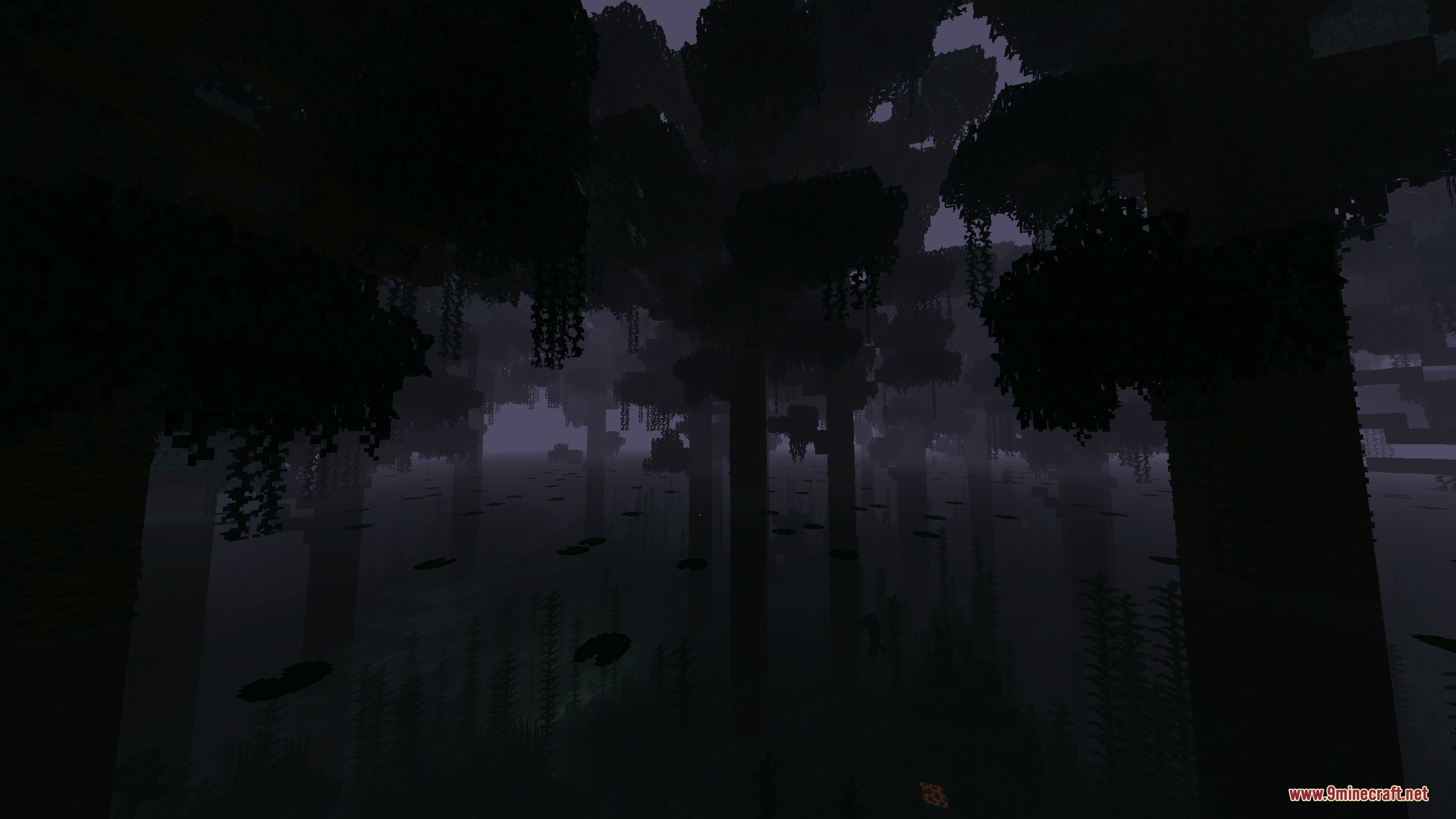 Tall trees with hanging vines grow in a dark swampy forest with lily pads