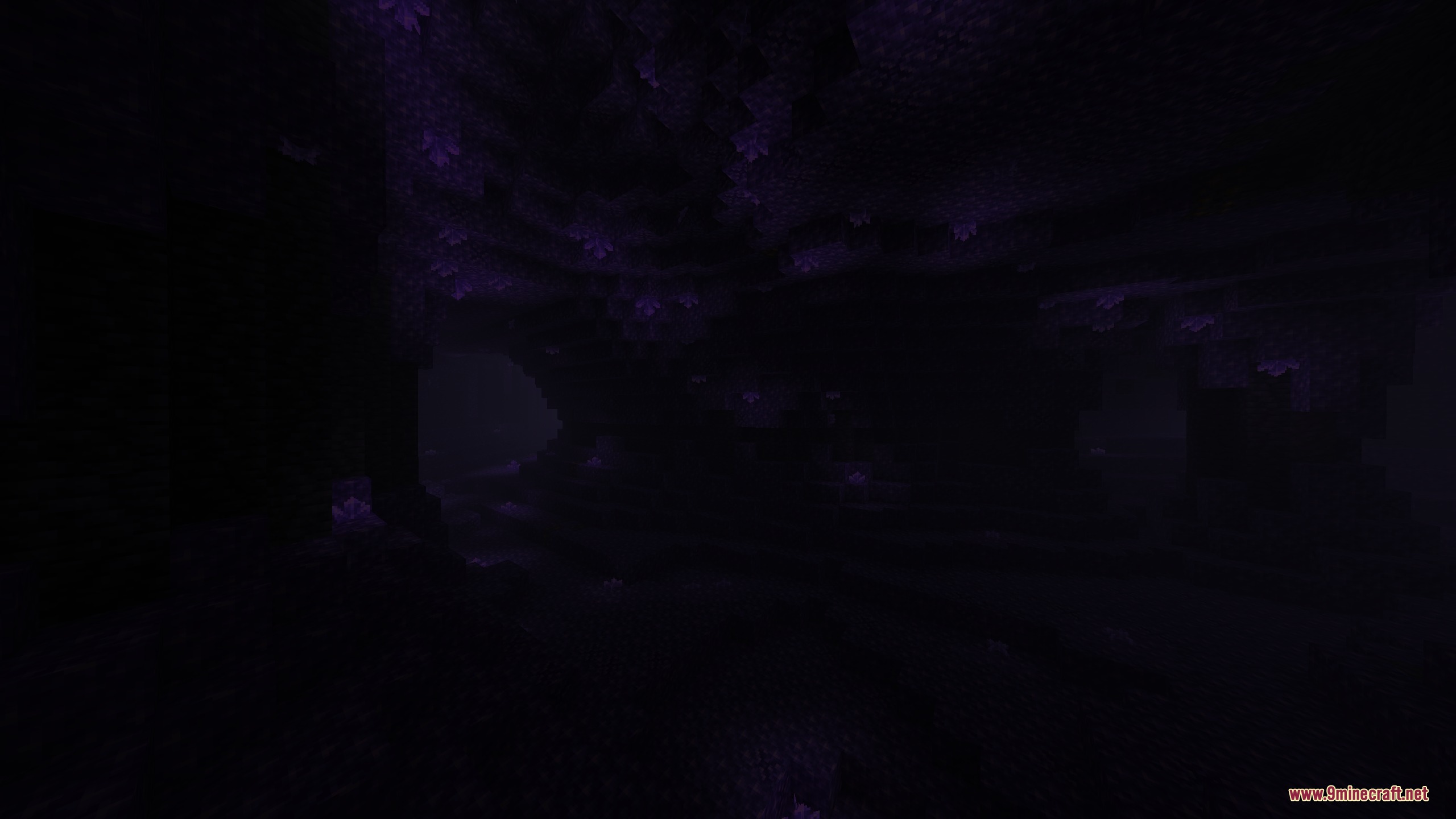 A dark cavern in a mysterious dimension filled with glowing purple flora