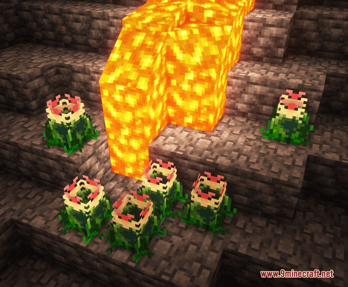 Bomb Flowers growing on stone steps next to a flowing lava stream