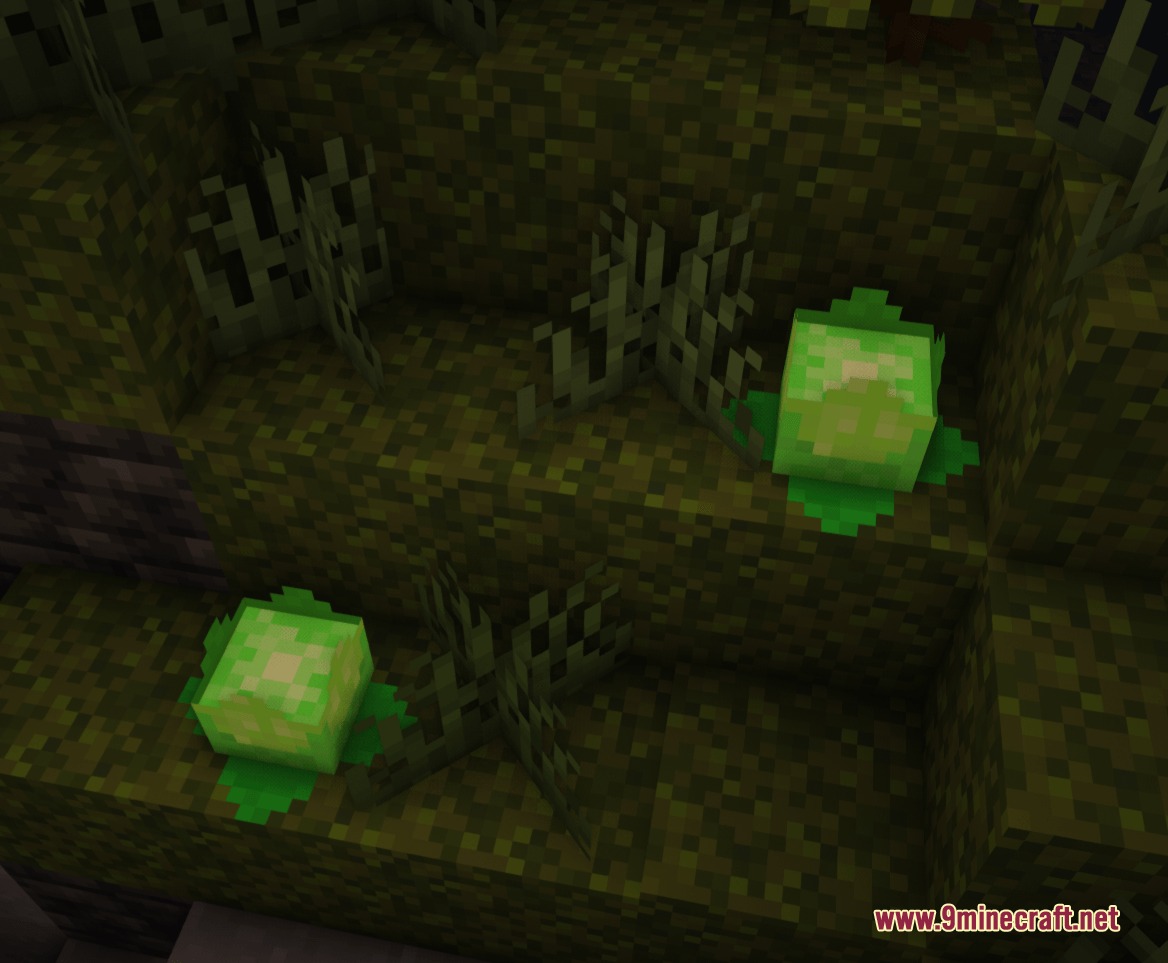 Small glowing green plants growing on the ground in a dark cave