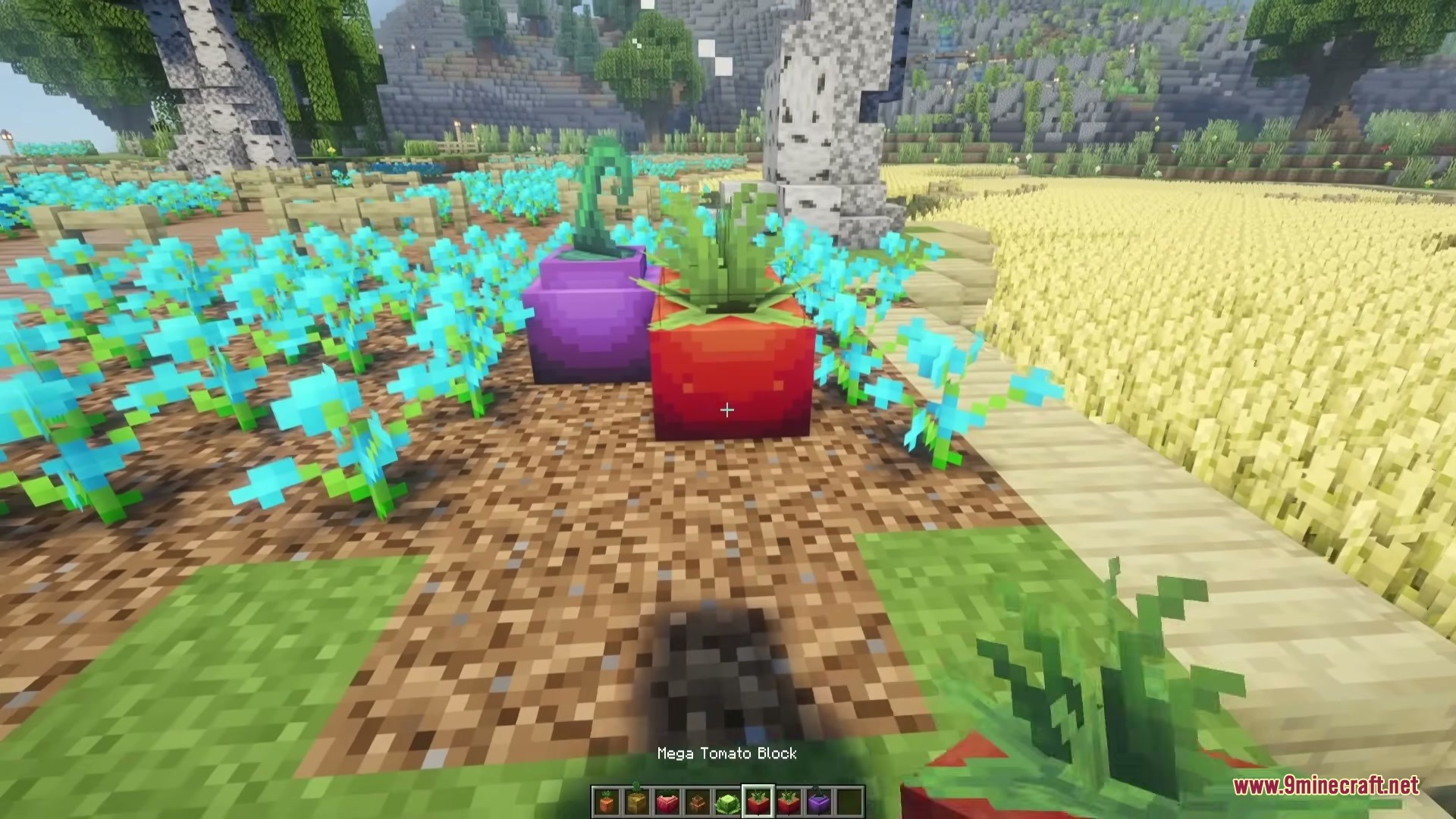 Legendary Farming Mod Screenshot 2 A player standing near a mega tomato block and a purple crop block