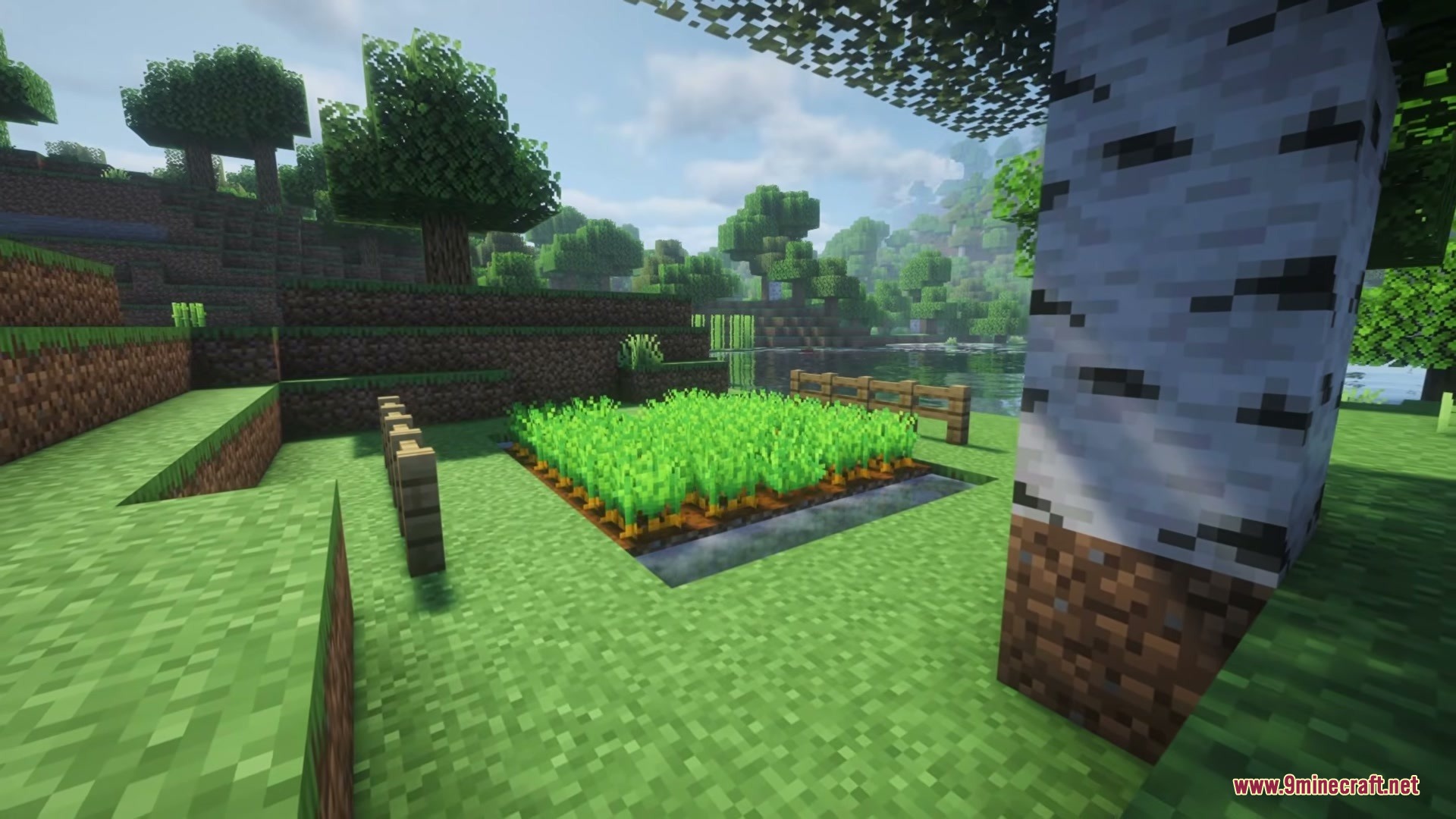 Legendary Farming Mod Screenshot 6 Lush green crops grow in a farm plot next to a birch tree