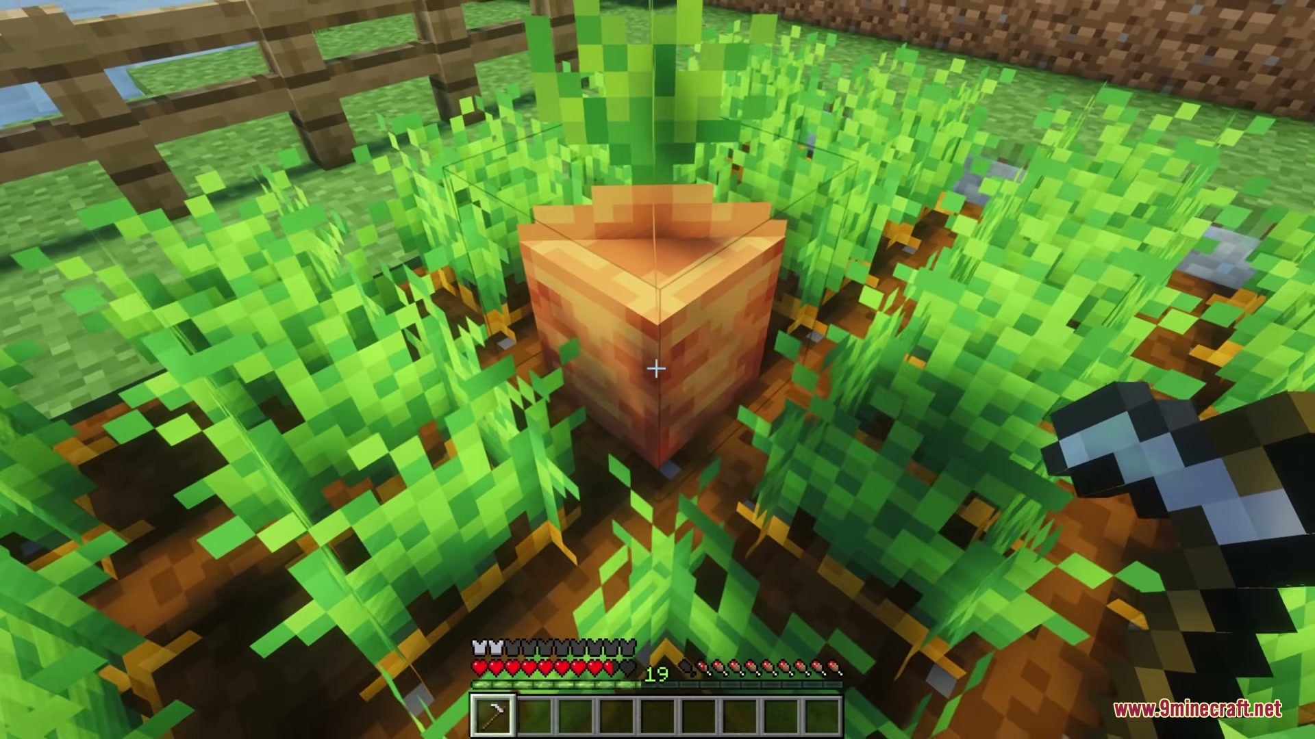 Legendary Farming Mod Screenshot 7 A player stands in front of a massive giant carrot in Minecraft