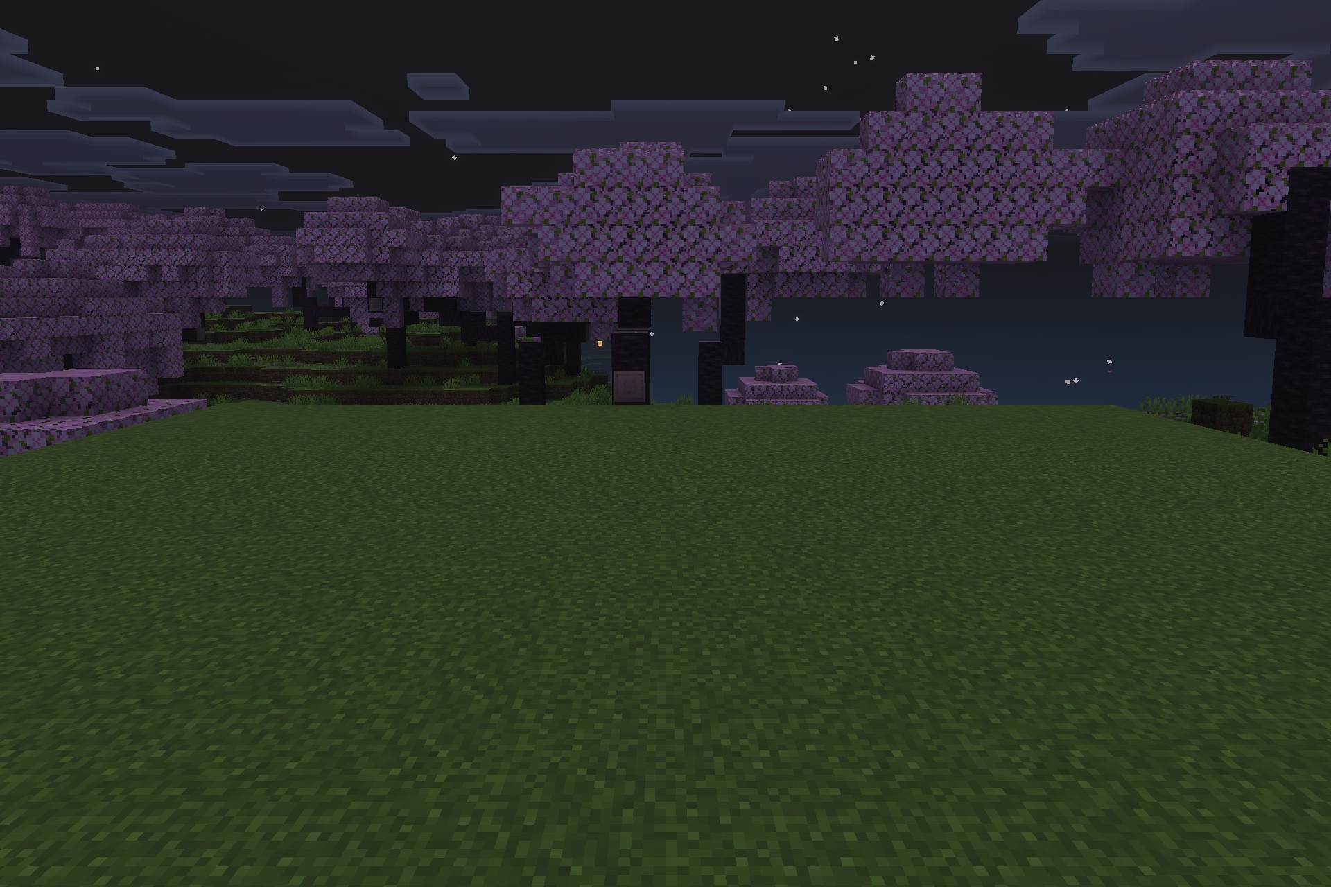 Lilium Dynamic Light Addon Screenshot 1 A small light source illuminates the dark cherry blossom grove at night