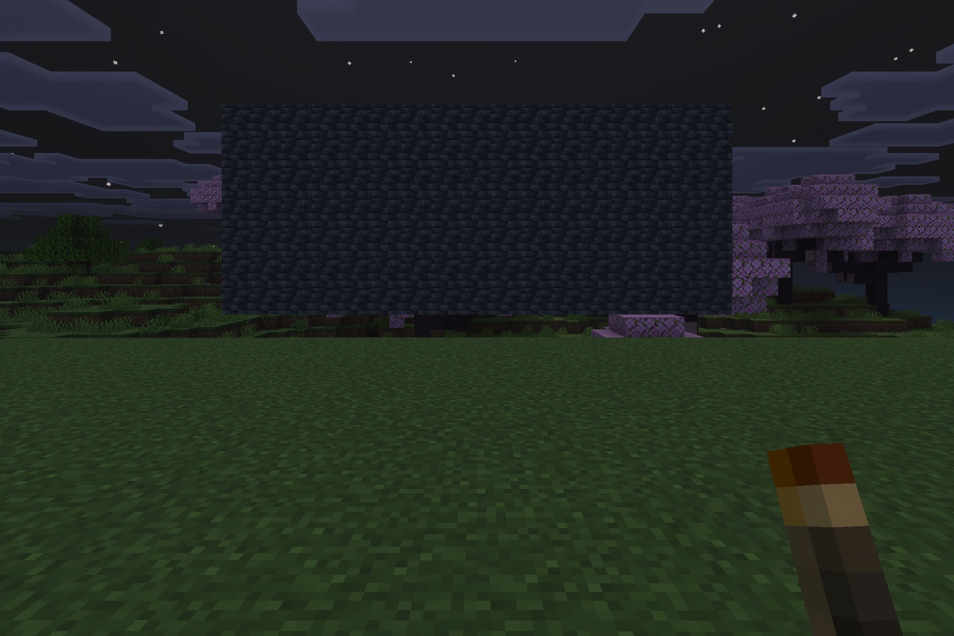 Lilium Dynamic Light Addon Screenshot 3 Player holding a torch at night in front of a massive dark wall