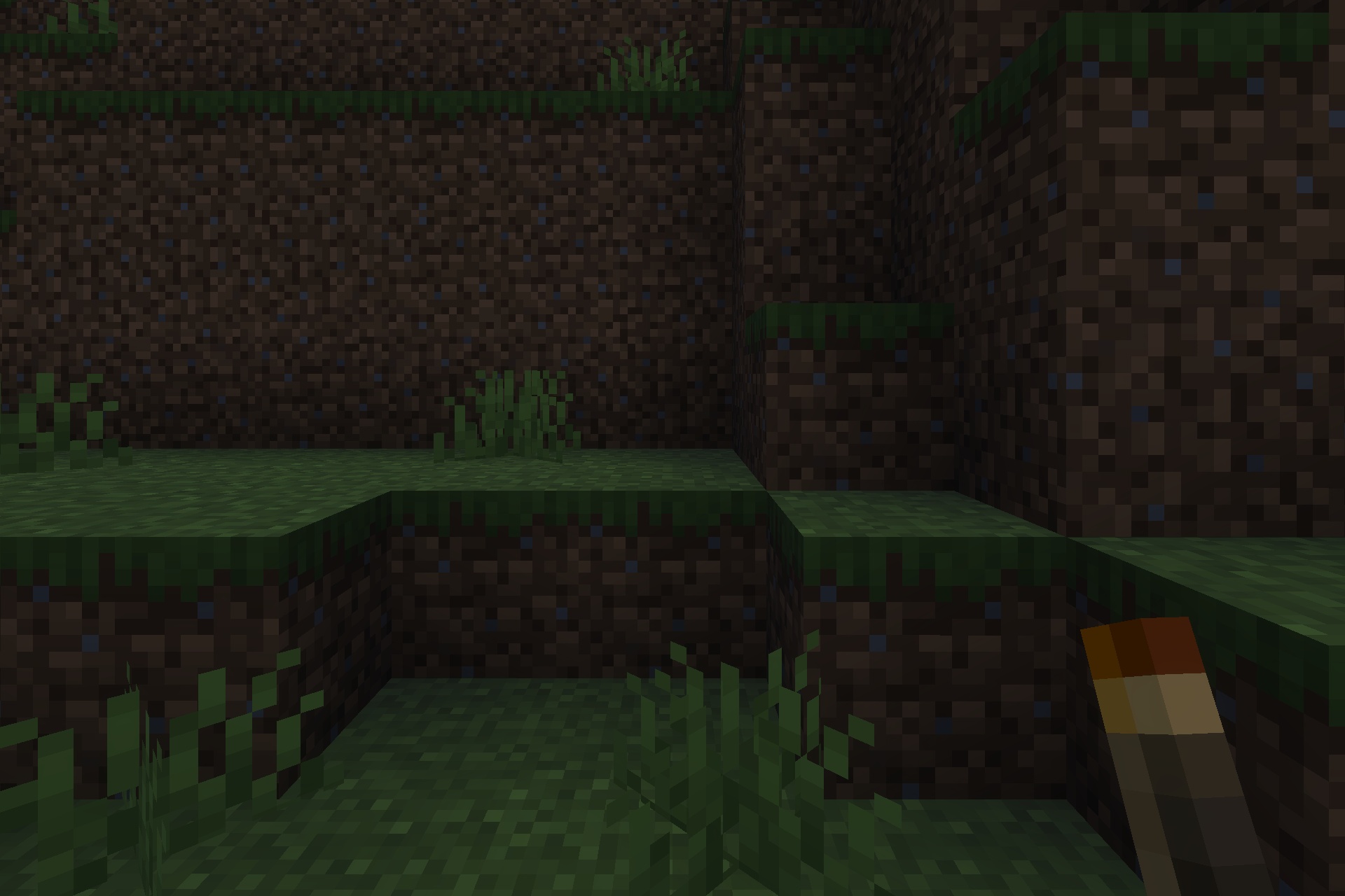Lilium Dynamic Light Addon Screenshot 4 The held torch provides dynamic light to the surrounding dark terrain and grass