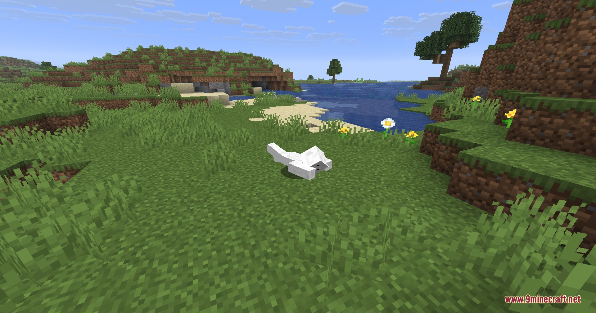 Lithe Motion Framework Mod Screenshot 3 A white Minecraft character lying flat on the grass near a river