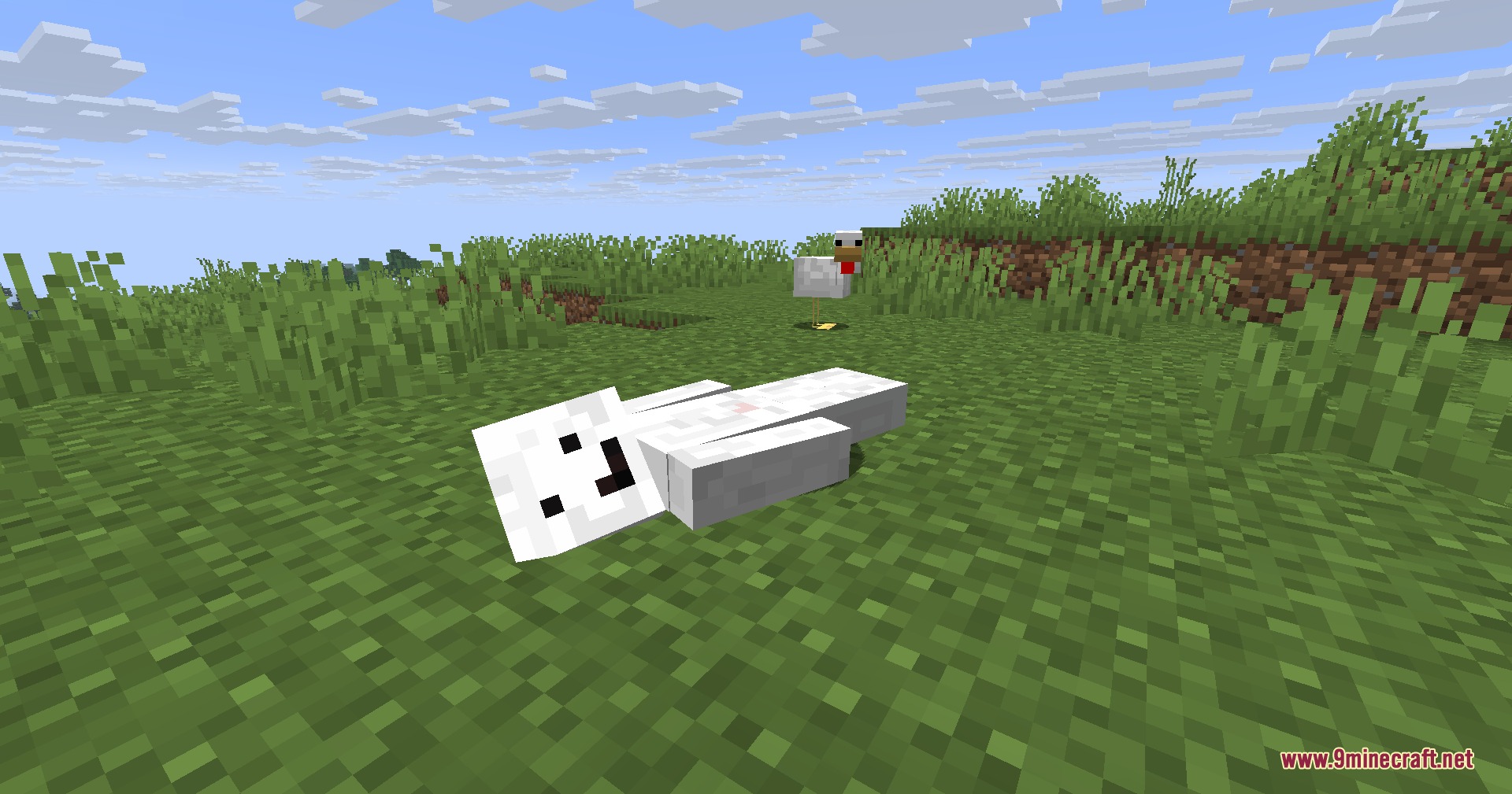 Lithe Motion Framework Mod Screenshot 4 A white Minecraft player lying down on the ground with a chicken nearby