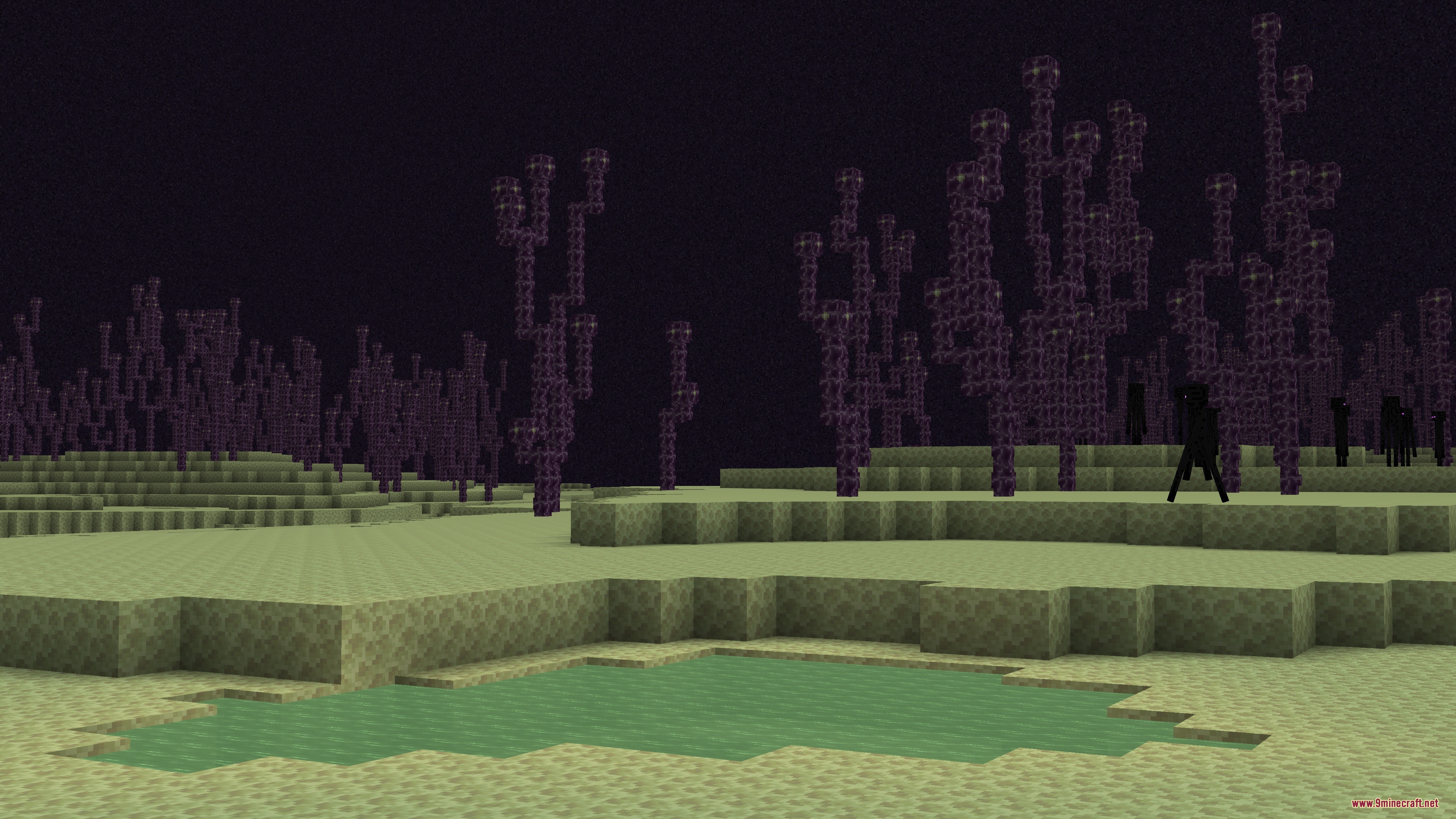 Llama Blocks Mod Screenshot 5 Green acid lake near purple plants in the End dimension