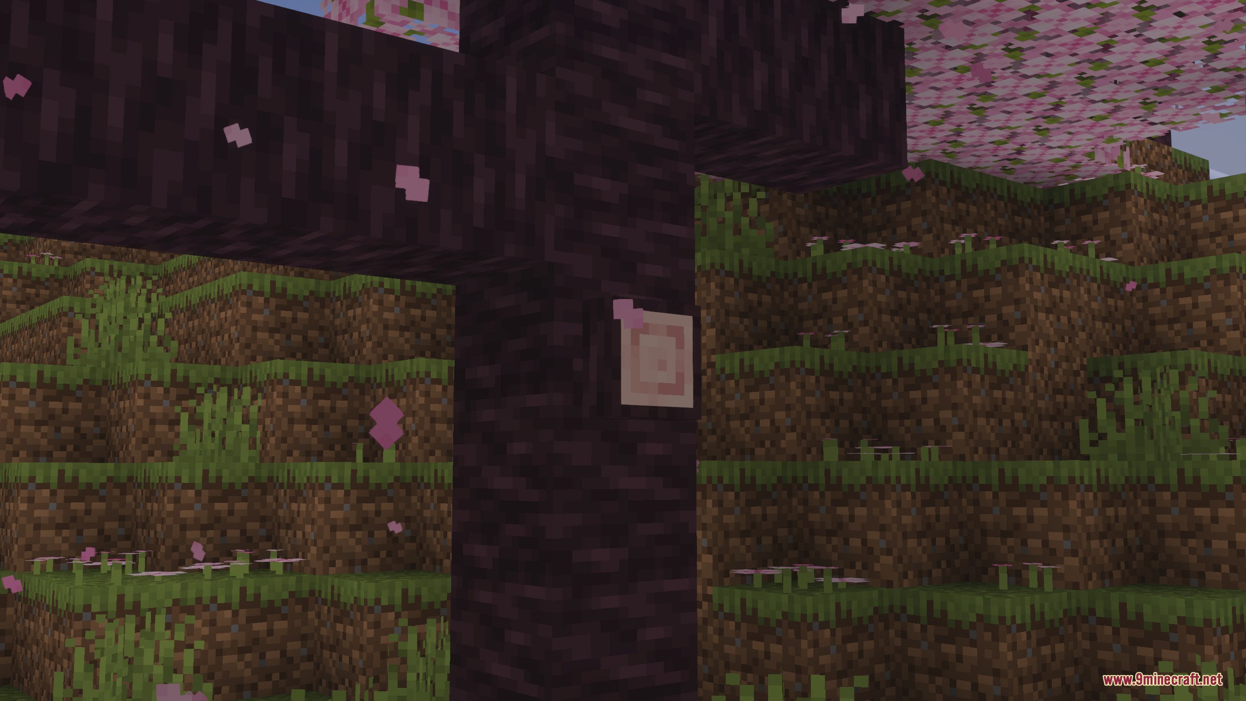 A cherry wood log featuring a small pink stub in a cherry grove