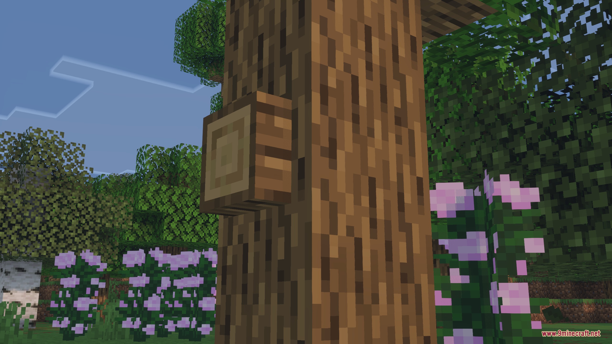 A small wooden stub protruding from the side of an oak log
