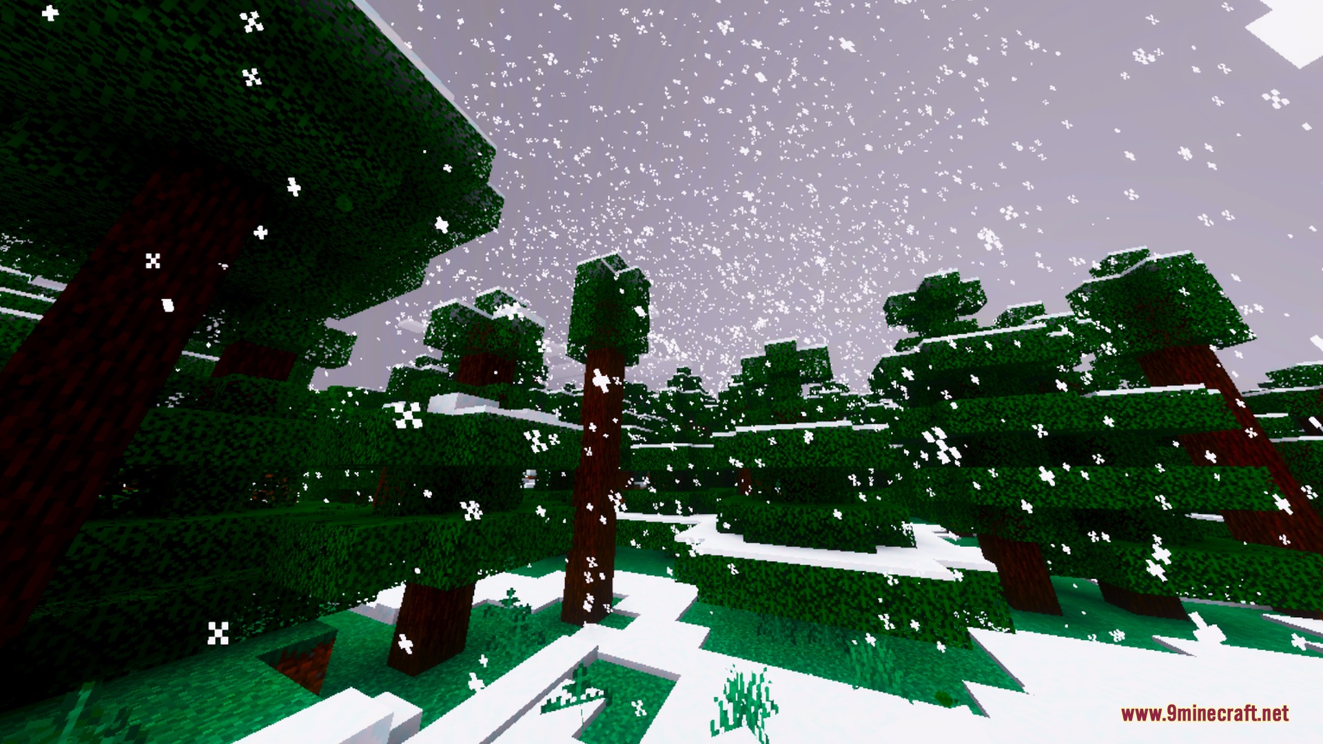 Lumenix Prism Visuals Shader Screenshot 10 Snow falling in a dense spruce forest with white snow on the ground