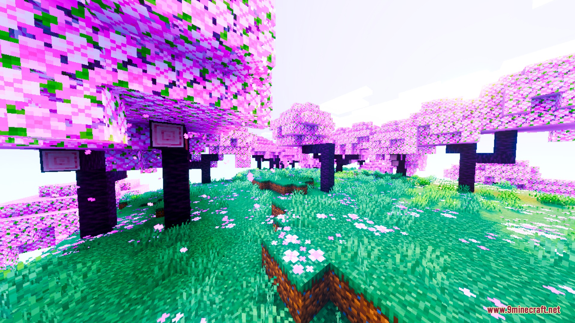 Lumenix Prism Visuals Shader Screenshot 6 Vibrant cherry blossom grove with pink trees and lush green grass