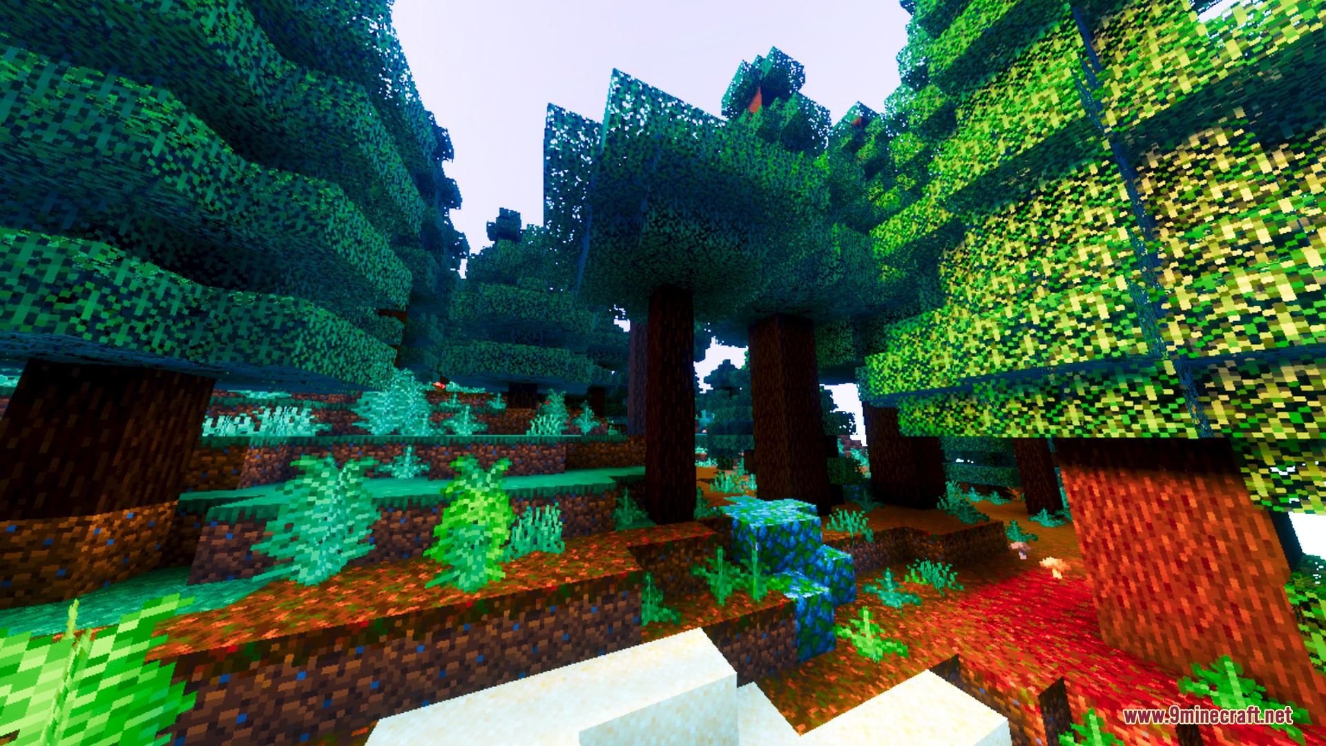 Lumenix Prism Visuals Shader Screenshot 7 Vibrant spruce forest with saturated green leaves and colorful ground in Minecraft world