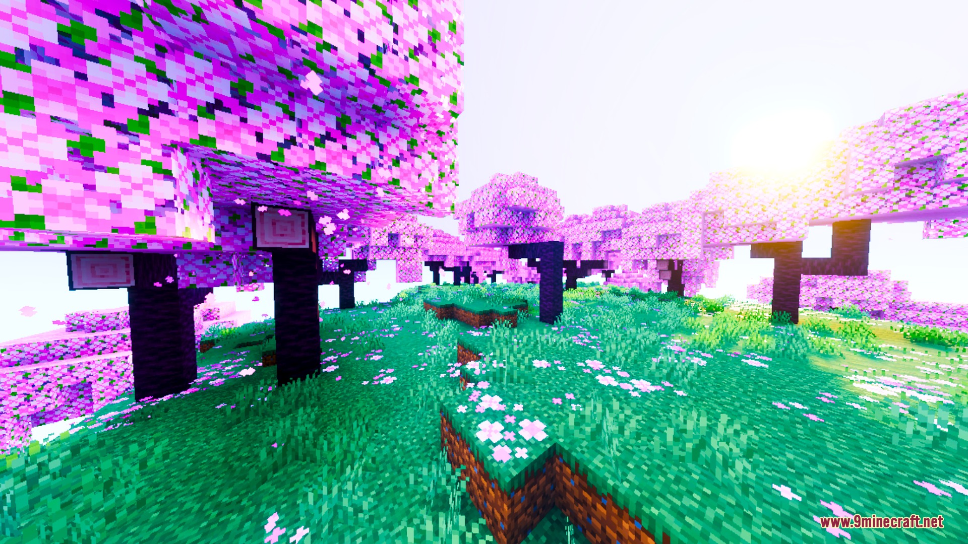 Lumina Prism Visuals Shader Screenshot 6 Lush cherry blossom forest with saturated pink leaves under bright warm sunlight