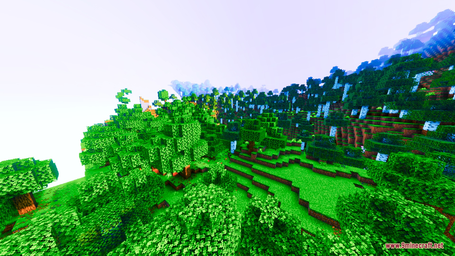 Lumina Prism Visuals Shader Screenshot 7 Warm and saturated lighting enhances the lush green forest landscape in Minecraft