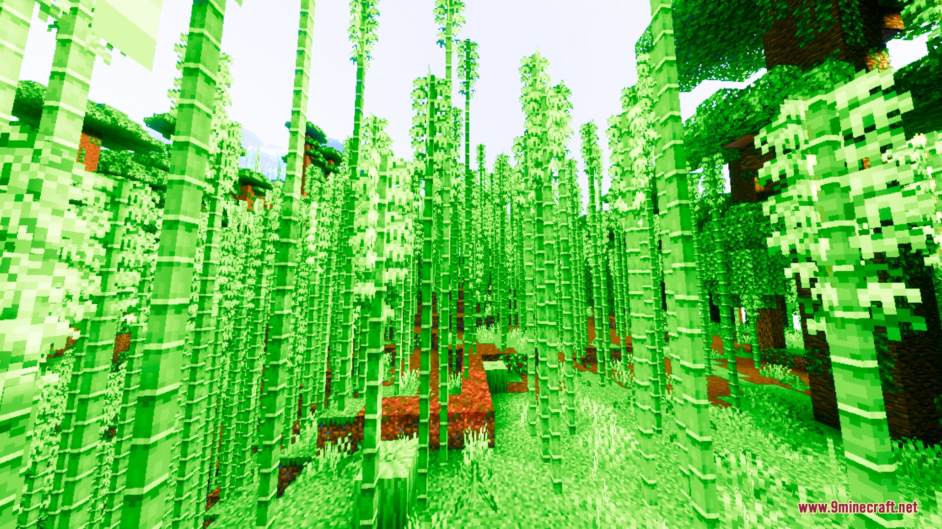 Lumina Prism Visuals Shader Screenshot 9 Dense bamboo forest featuring vibrant green colors and soft atmospheric lighting