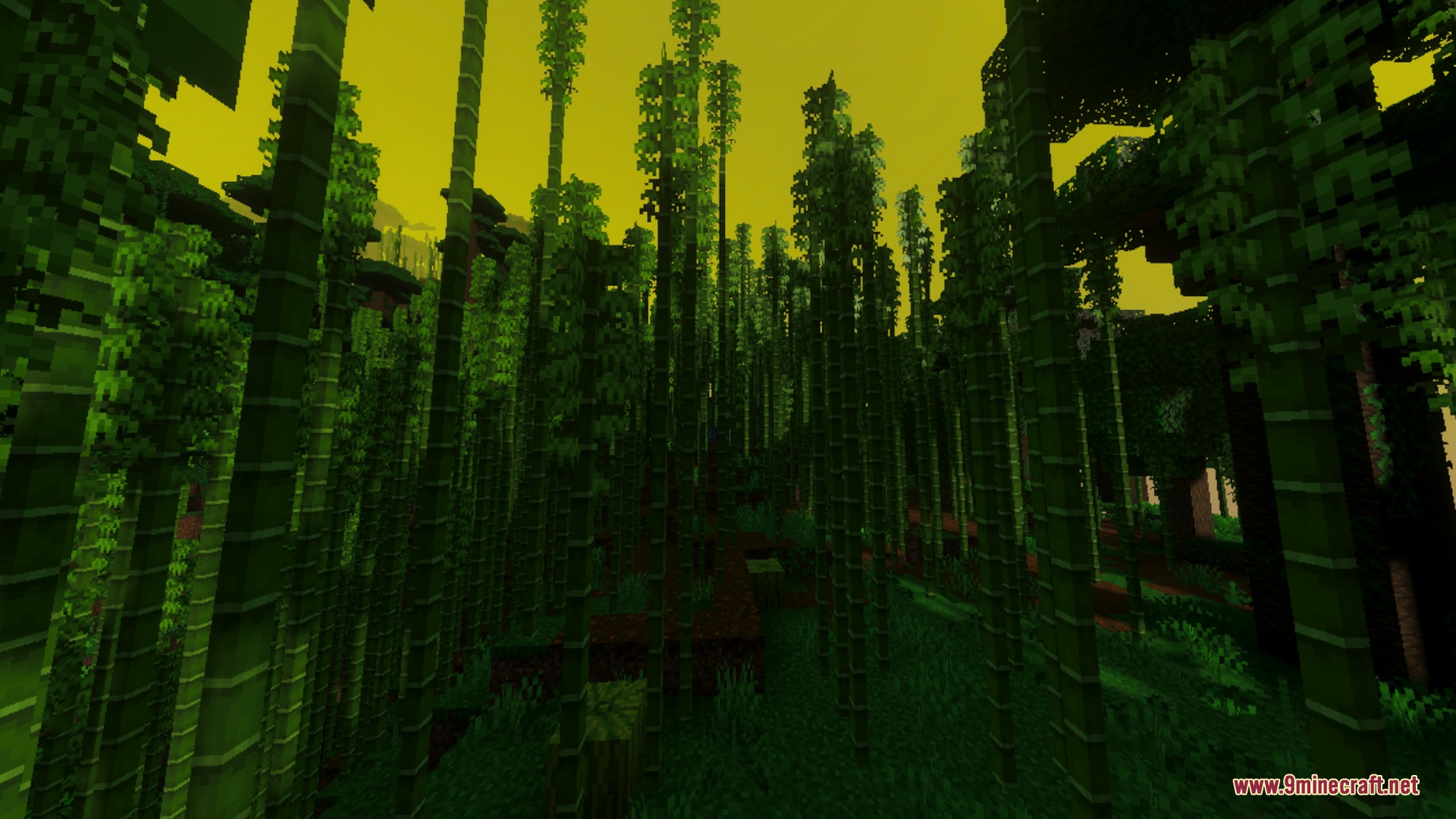 Tall bamboo stalks in a dense forest under a bright yellow cinematic sky