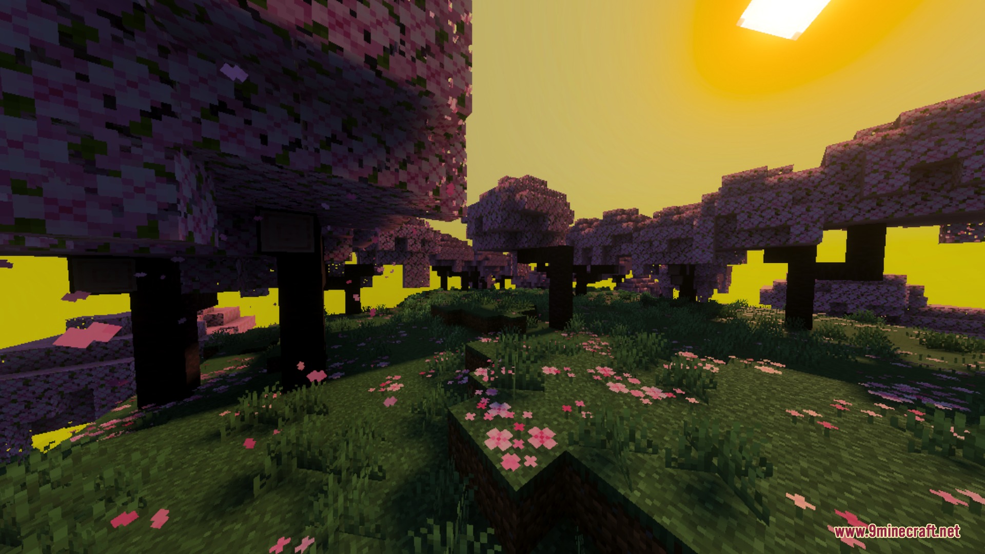 Cherry blossom trees under a vibrant yellow sky with warm sunlight effects