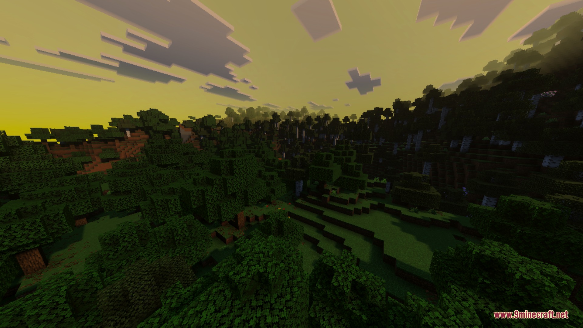 A scenic view of a dense forest under a bright yellow cinematic sky