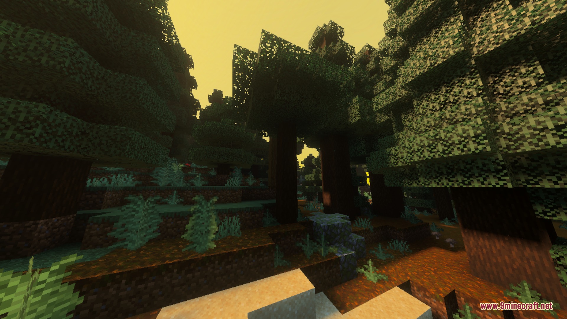Sunlight creates a warm glow through the trees in a spruce forest biome