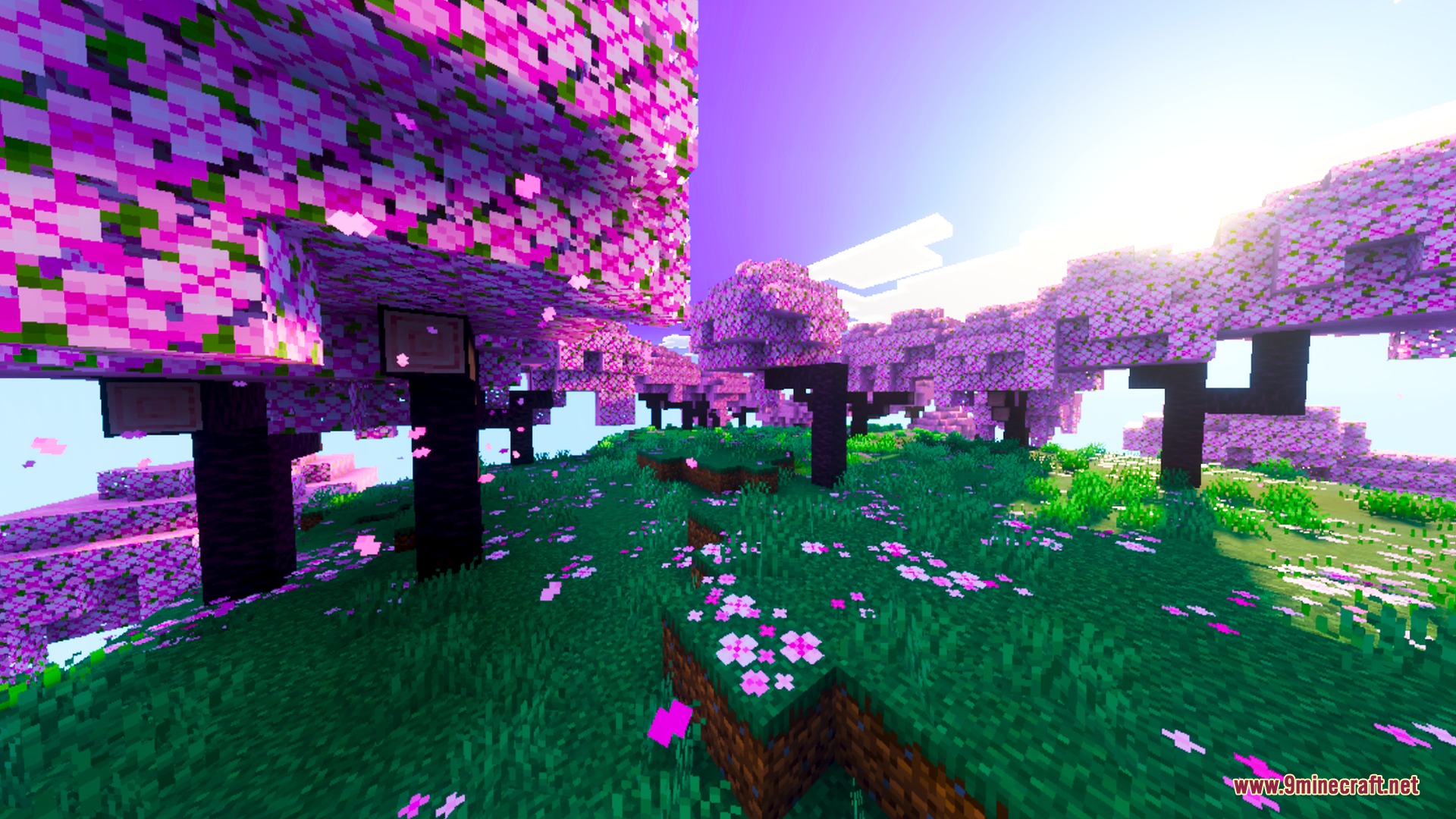 Cherry blossom grove with pink trees and falling petals under a bright sun