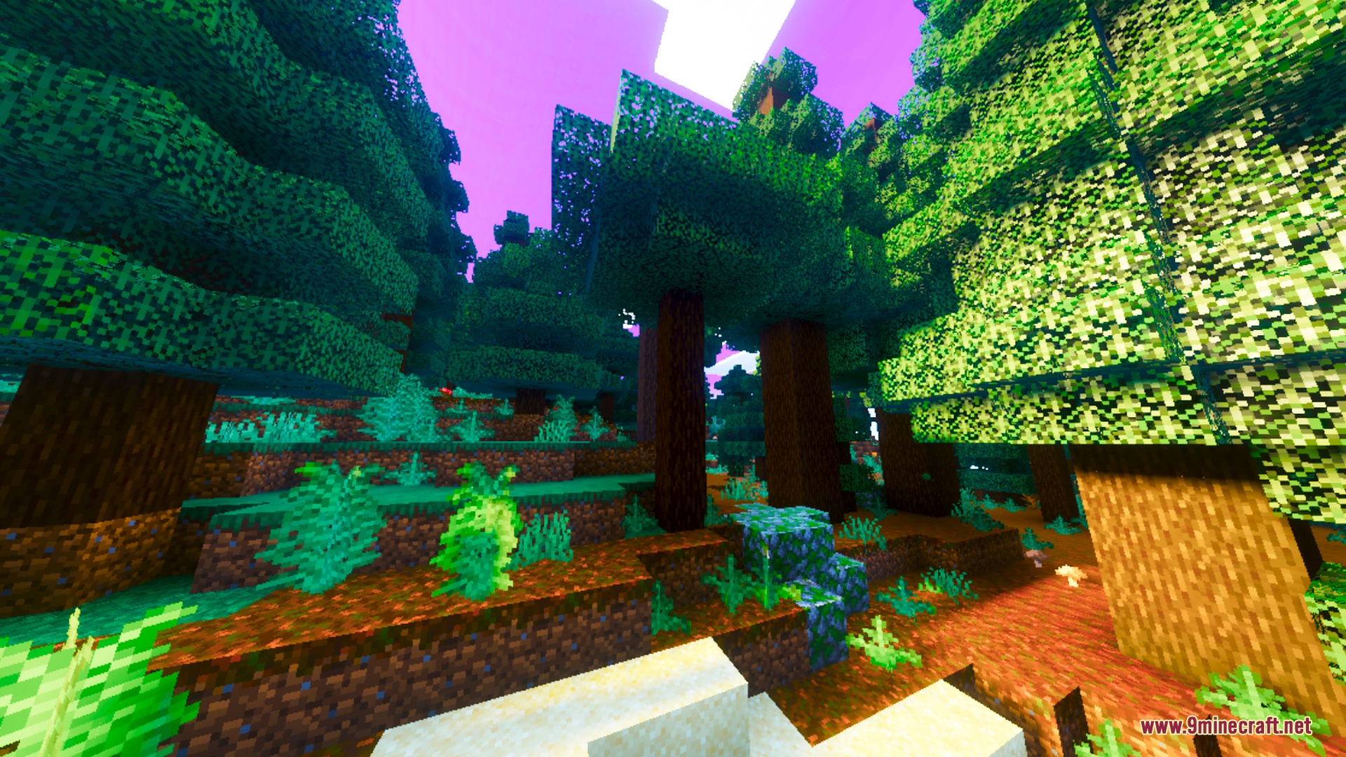 Dense volumetric fog and light shafts filter through a lush green forest