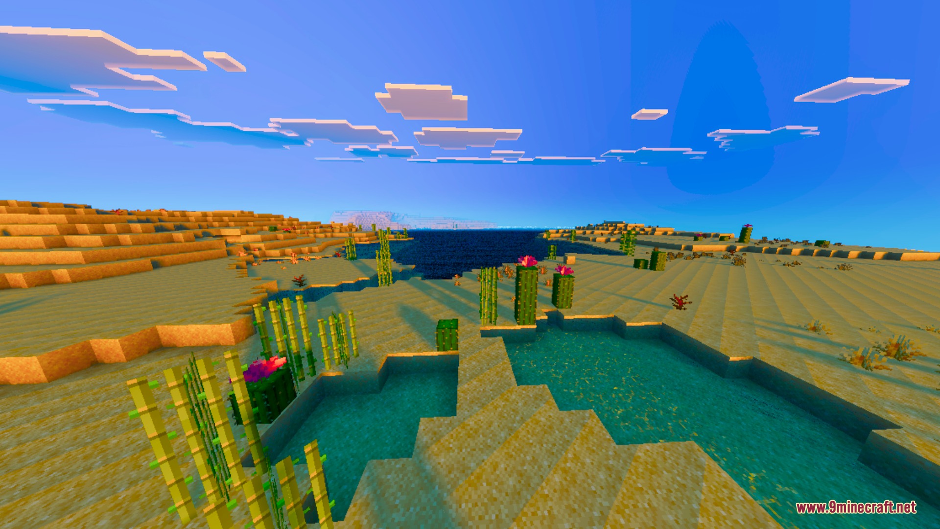 Realistic water reflections and desert plants under a clear blue sky