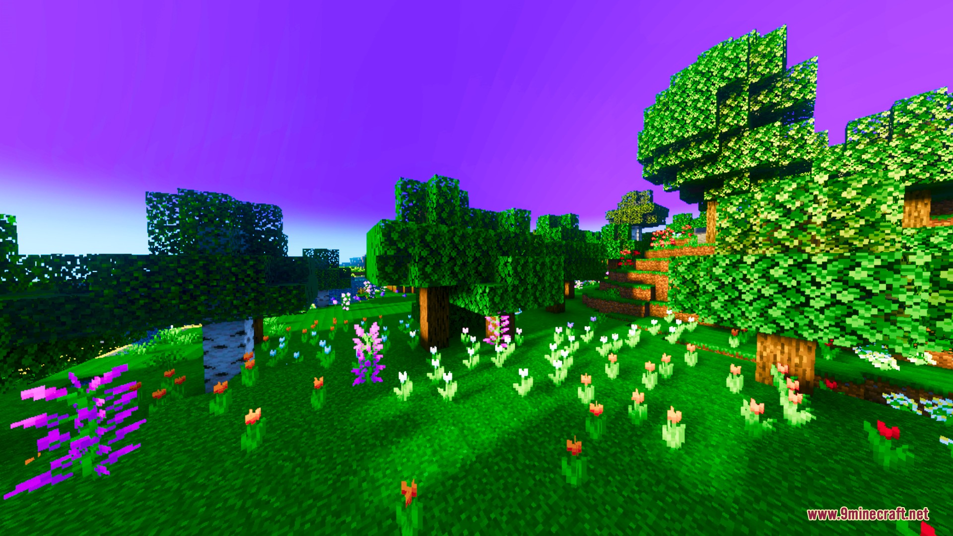Vibrant lighting enhances a flower forest biome with a bright purple sky
