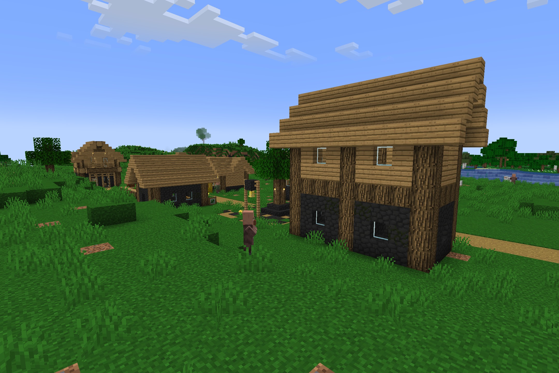 A villager stands near wooden houses in a grassy Minecraft village