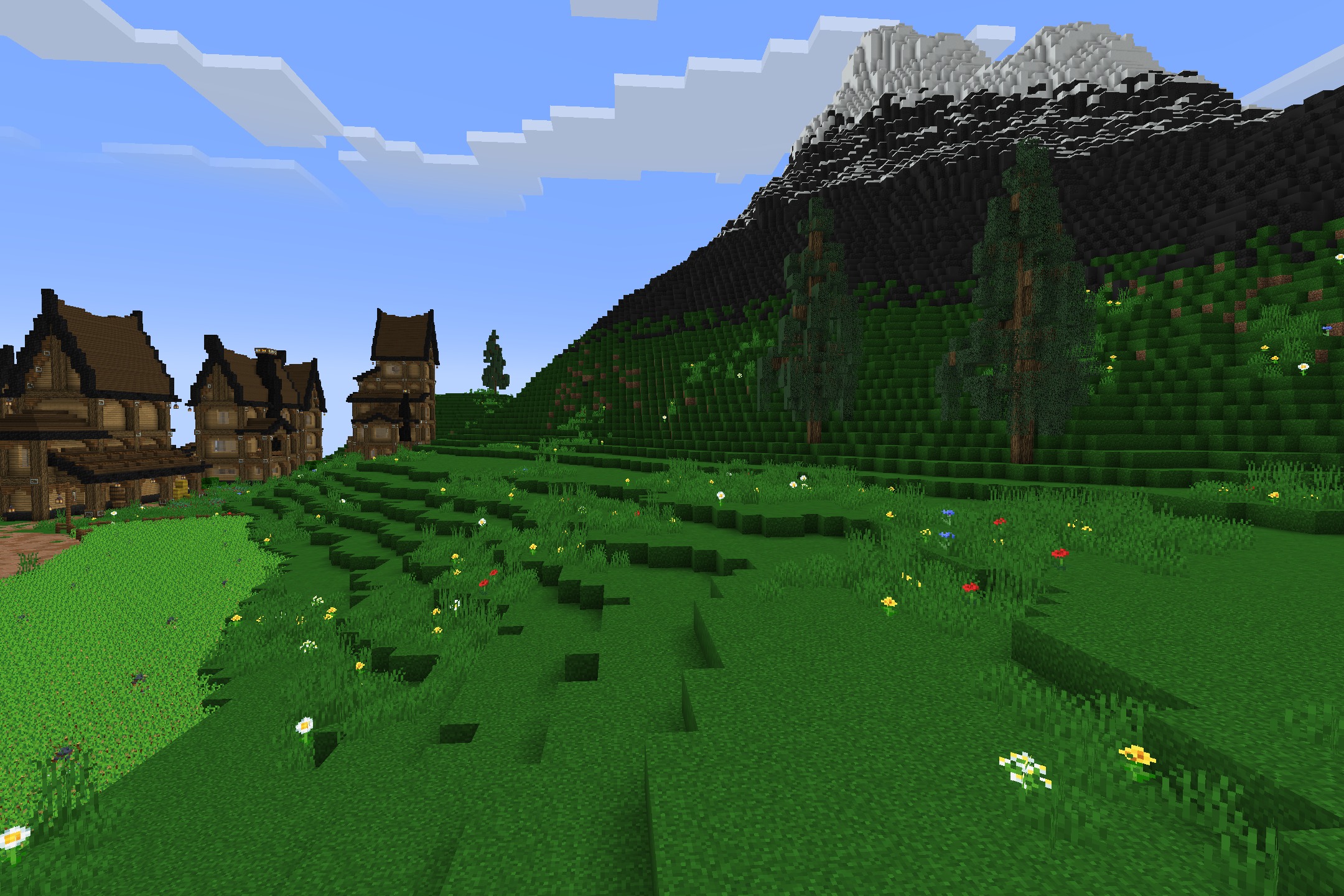Detailed houses on a grassy hill next to a large mountain