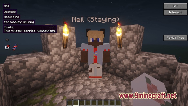 A custom villager with wolf ears stands between torches in a stone structure