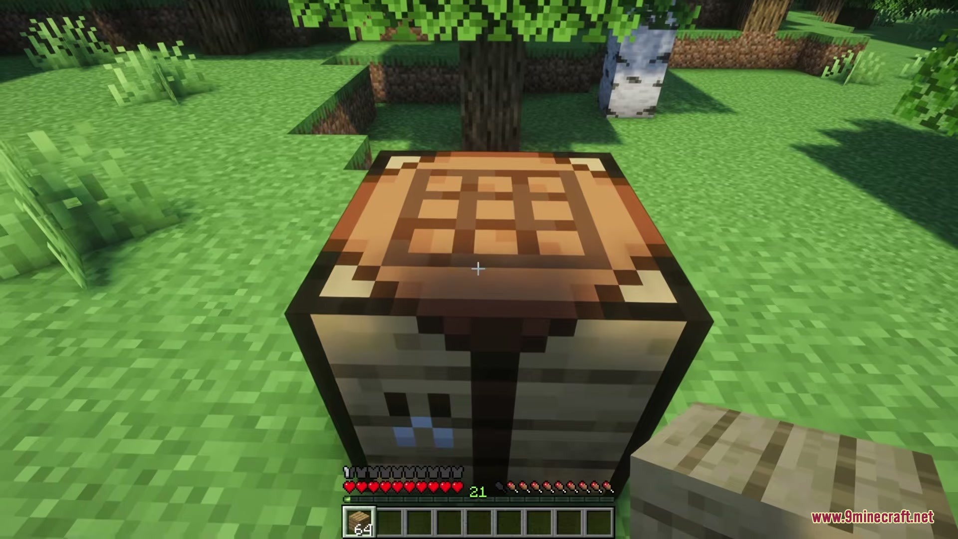 MCG's Questborne Mod Screenshot 4 A wooden crafting table sitting on the grass under a leafy green tree