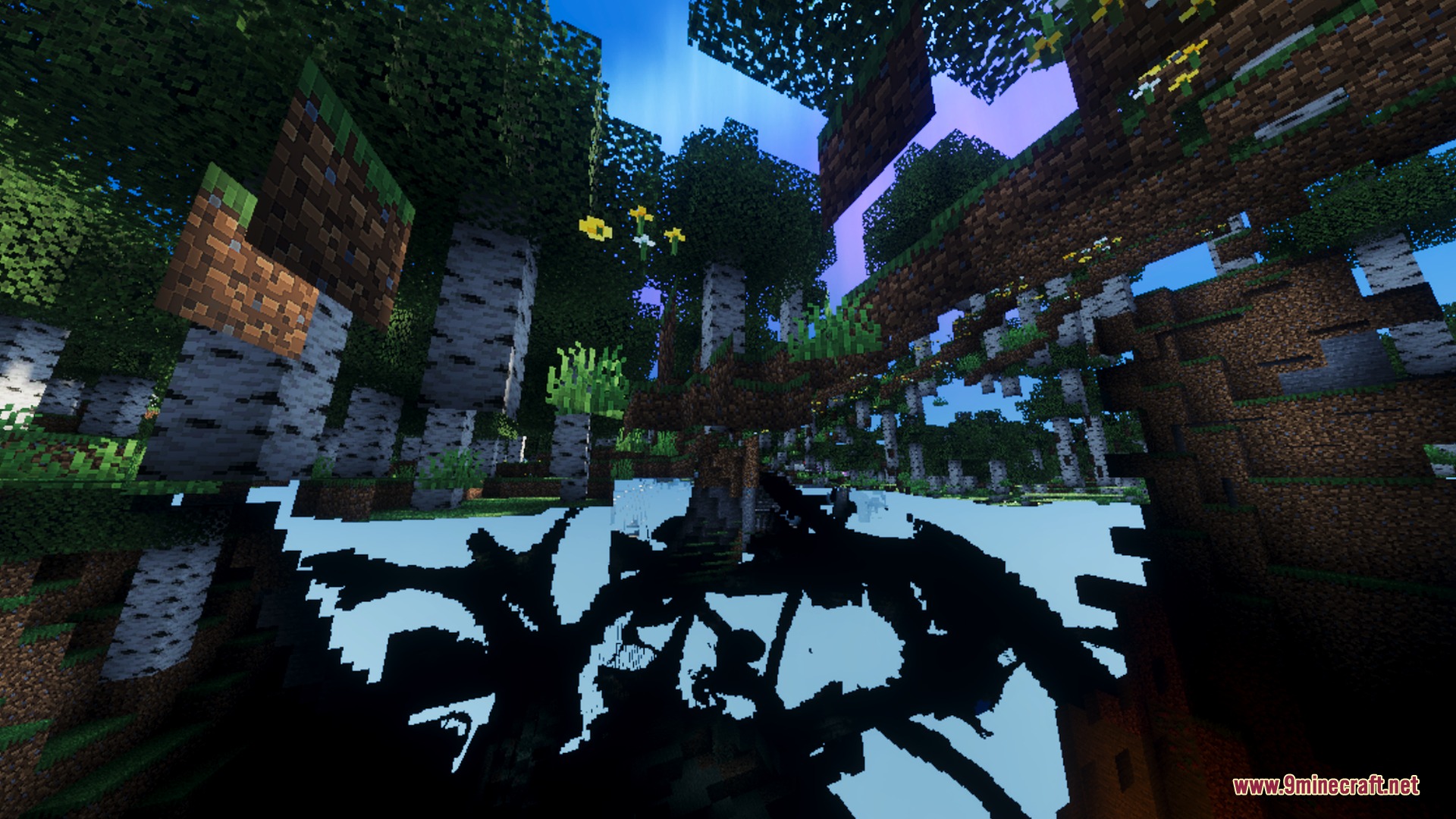 Mellowv Shaders Screenshot 8 Sunlight shines through birch trees in a dense forest with natural shadow effects