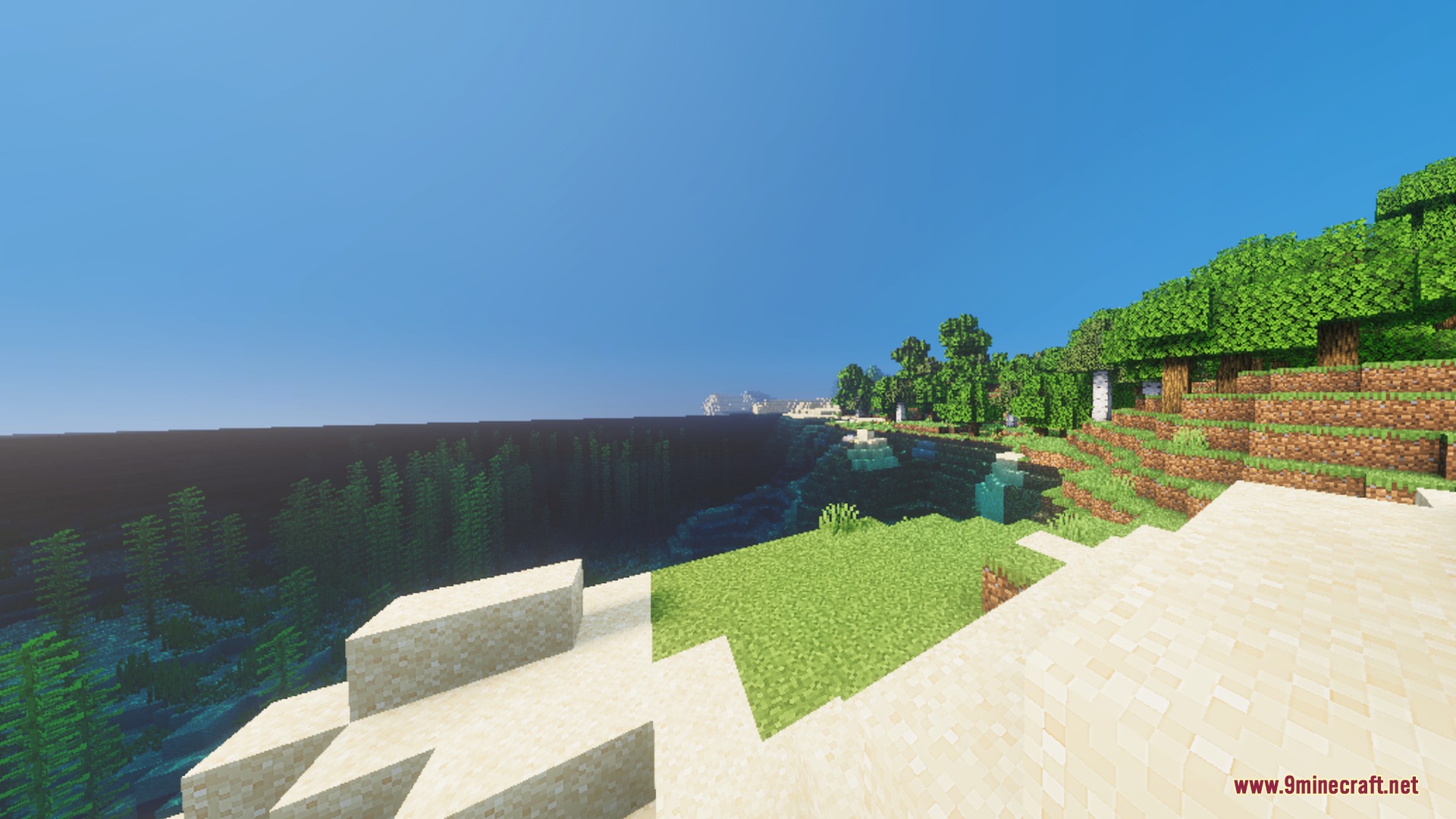 A sandy beach overlooks clear blue water with visible underwater kelp plants
