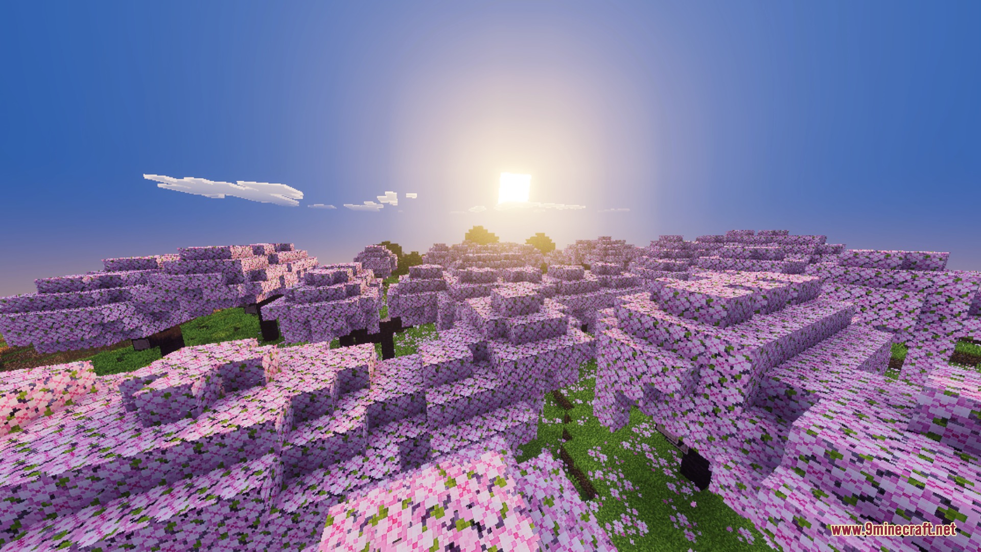 Vibrant cherry blossom forest with pink trees under a bright glowing sun