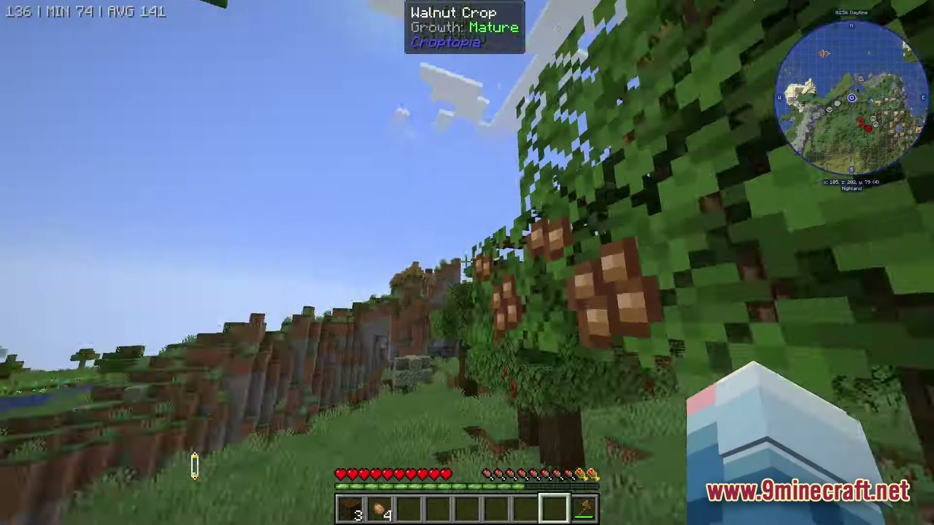 Mine Colonies Dimensional Adventure Modpack Screenshot 1 A player stands near a mature walnut crop tree in a highland biome with hilly terrain