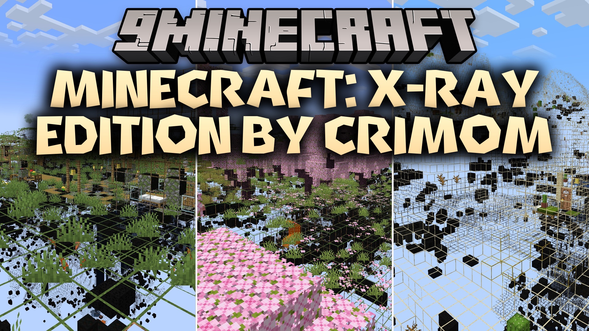 Minecraft X-Ray Edition by Crimom Resource Pack