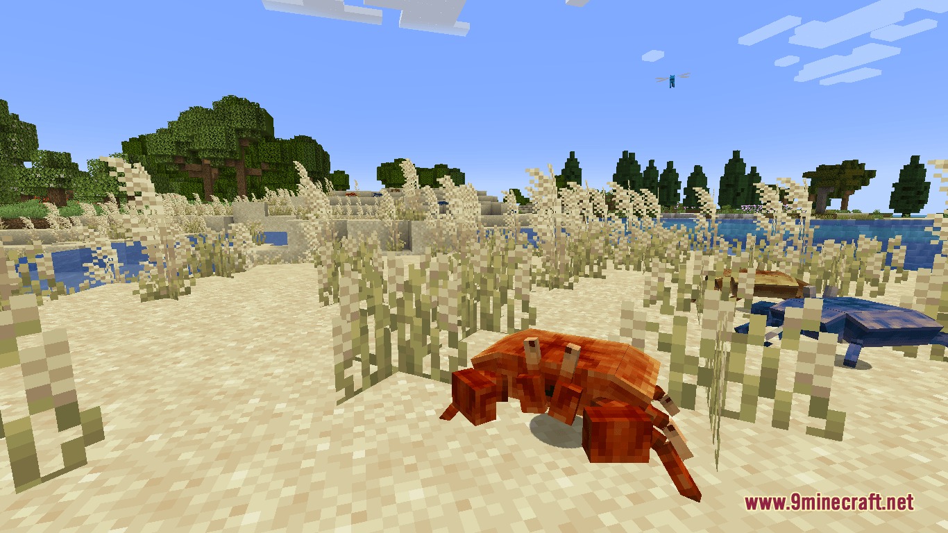 Mo' Creatures Port Mod Screenshot 1 Orange and blue crabs crawling on a sandy beach near tall grass
