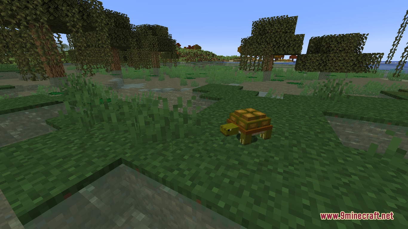 Mo' Creatures Port Mod Screenshot 7 A small turtle mob stands on the grass in a swamp biome