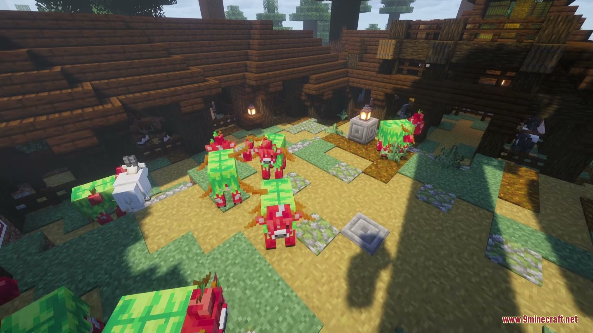 A group of colorful apple cows standing in a wooden farm enclosure