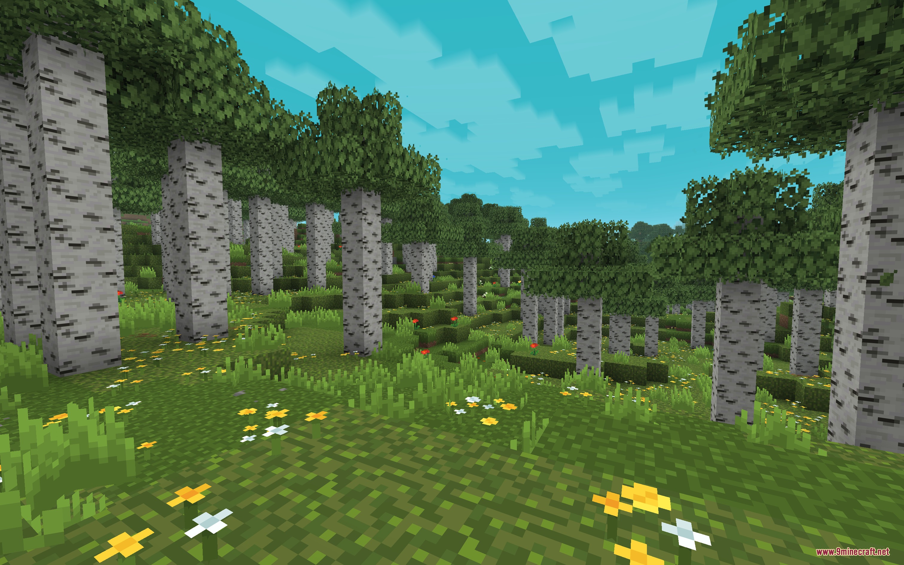 Moose Blocks Resource Pack Screenshot 4 A peaceful birch forest biome featuring vibrant green grass and yellow flowers