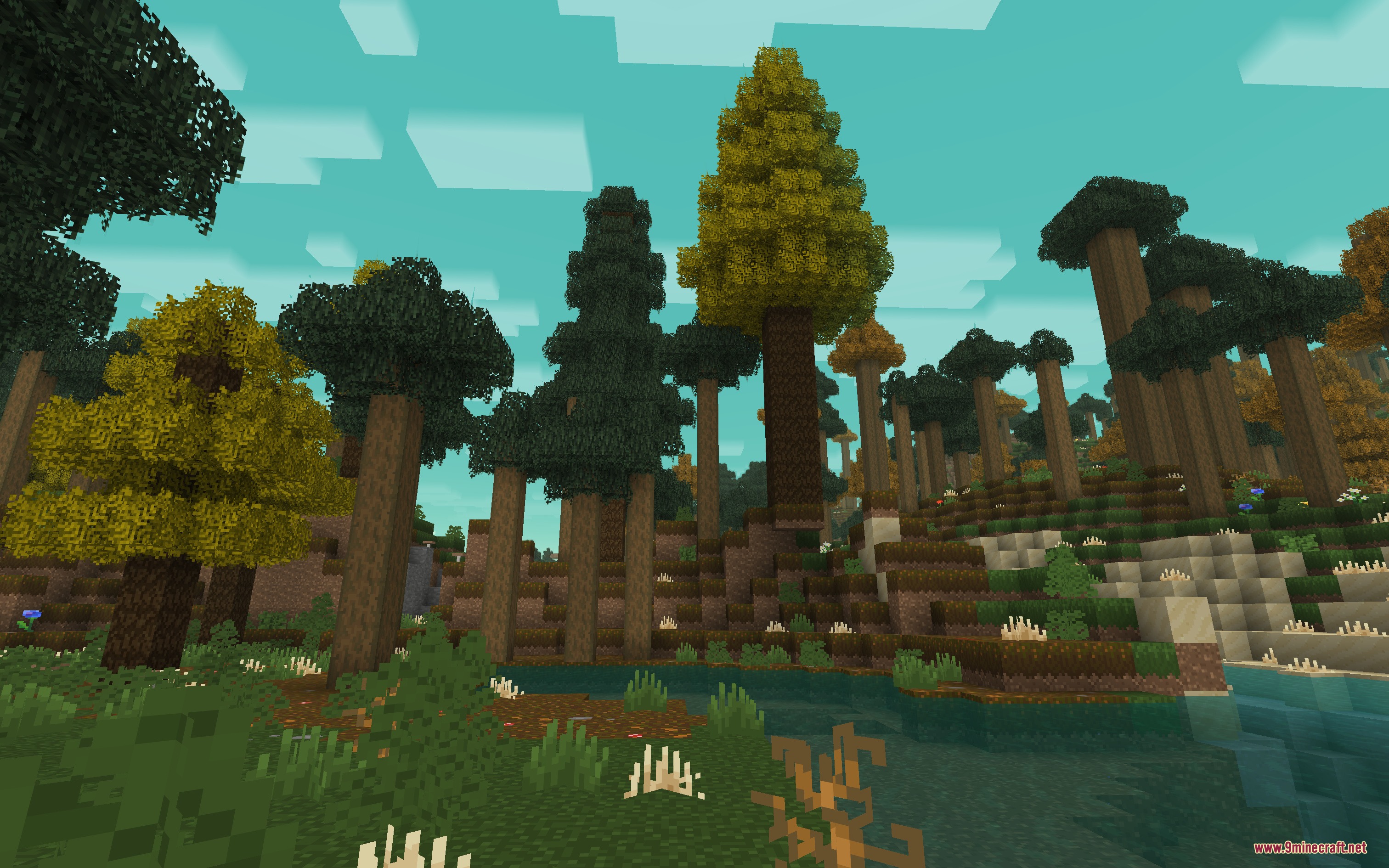 Moose Blocks Resource Pack Screenshot 5 Tall stylized trees and a small pond in a dense blocky forest landscape