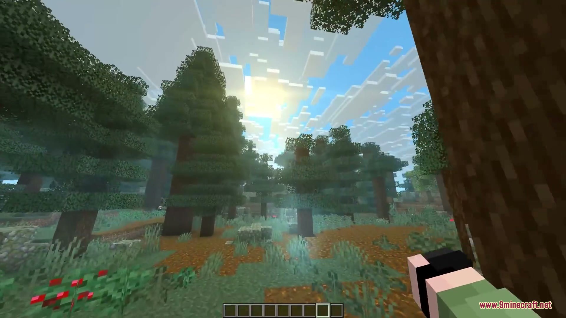 More Cloud Layers Mod Screenshot 3 Sunlight shining through spruce trees with many layers of clouds in sky