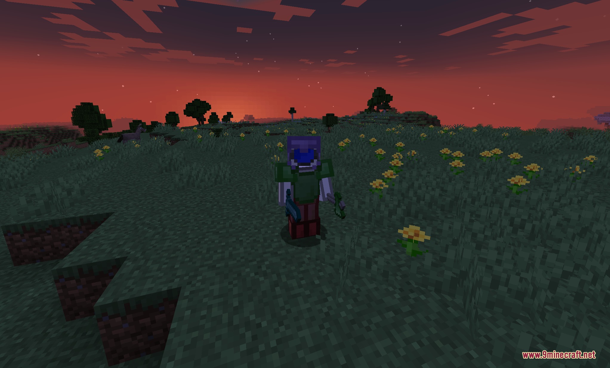 Minecraft character wearing colorful armor standing in a grassy field at sunset