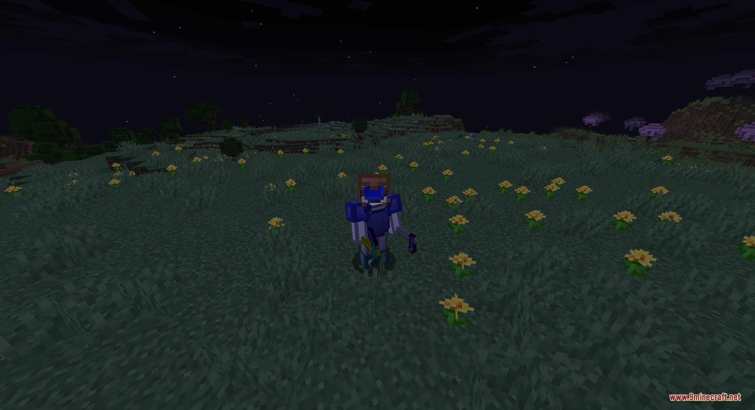 A player wearing purple armor stands in a field of yellow flowers at night