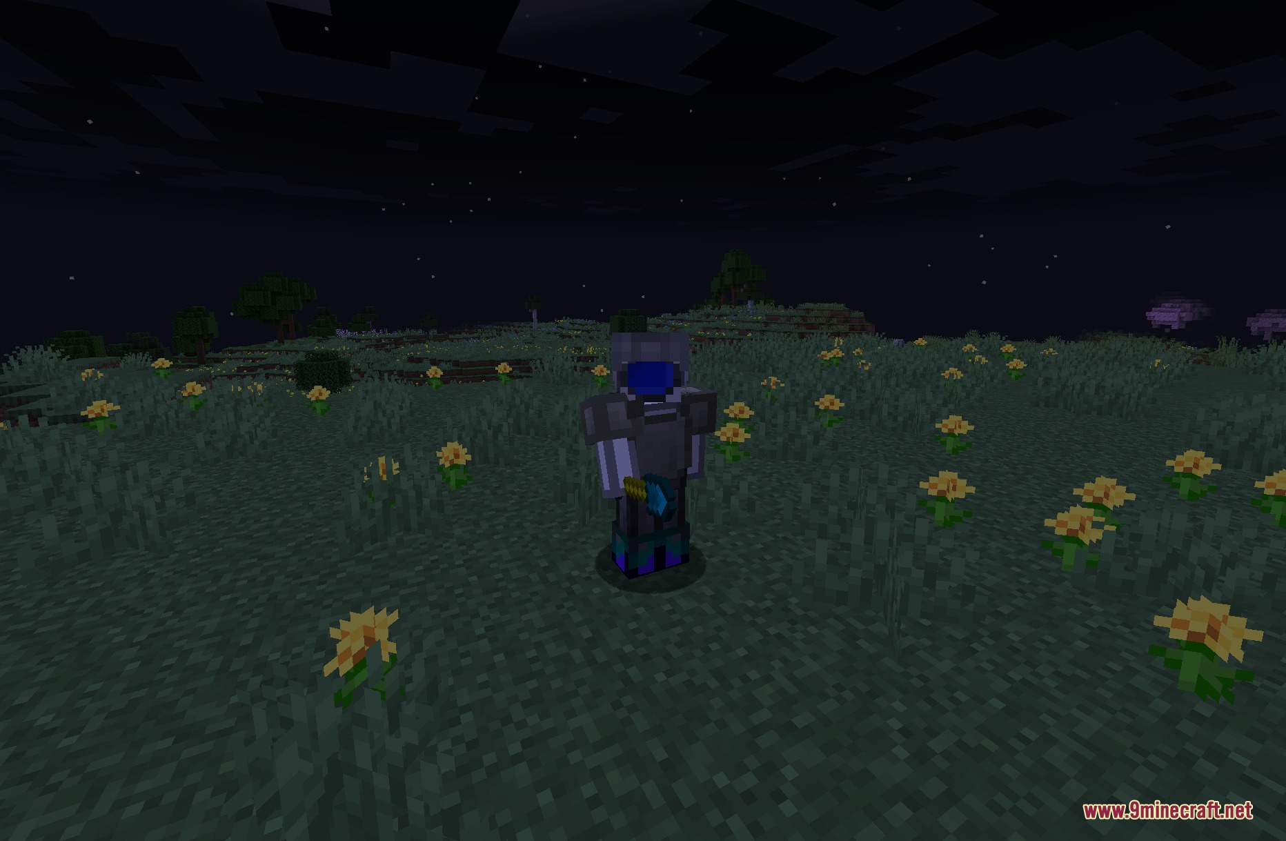 A player wearing dark armor stands in a field of yellow flowers at night